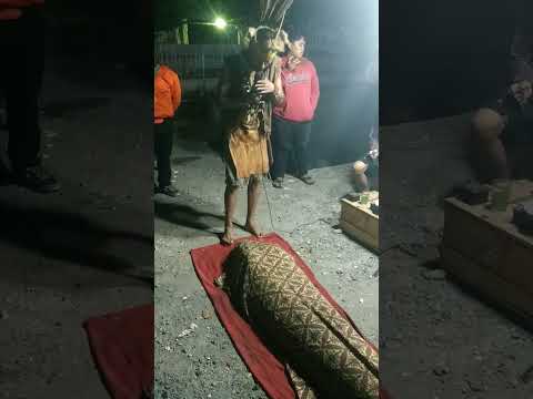 Atraksi Dukun Dayak