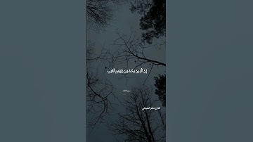 قران كريم بصوت جميل جدا القارئ ماهر المعيقلي 💙🕊