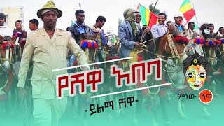 Yilma Shewa (Yeshewa Abeba) ይልማ ሸዋ (የሽዋ አበባ) - New Ethiopian Music 2020( Video)