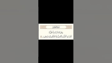 القرآن الكريم سورة القصص آيه ٧٠