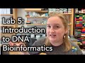 Introduction to dna bioinformatics sanger sequencing