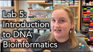 Introduction to DNA Bioinformatics: Sanger Sequencing