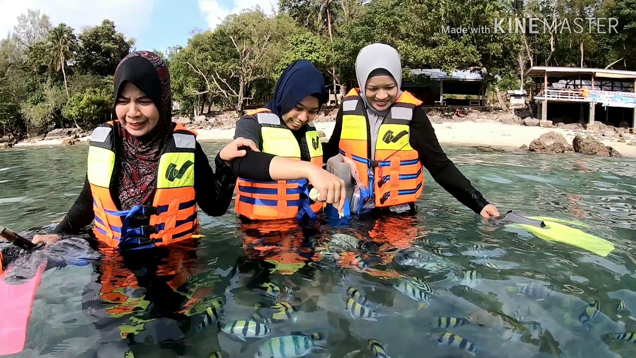 Ini Umpan ikan hias dekat pulau Rubiah Sabang