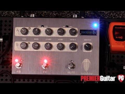 SNAMM '18  - Trickfish Amplification Trilobite Demo