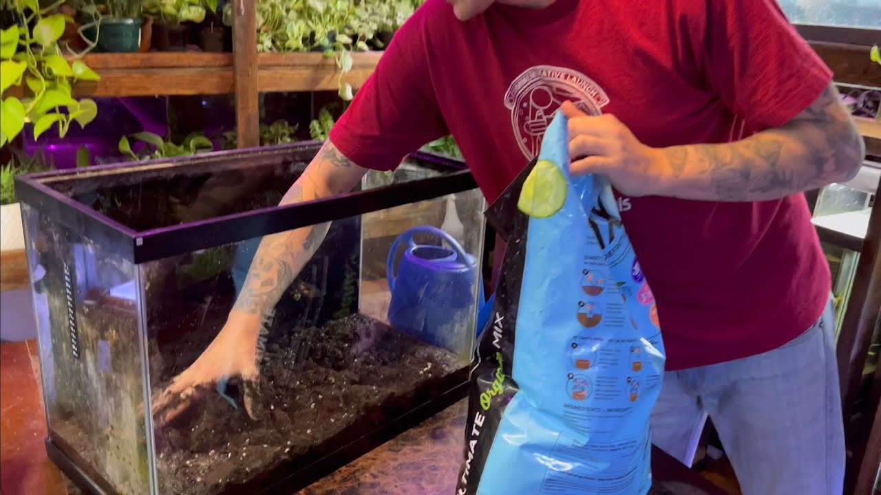 Can You Use Potting Mix in a Planted Aquarium? (Tips & Tricks)