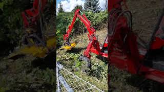 Monsteret Fra Harrestrup Å