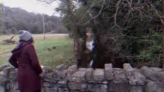 Come to Maynooth by Emmeline
