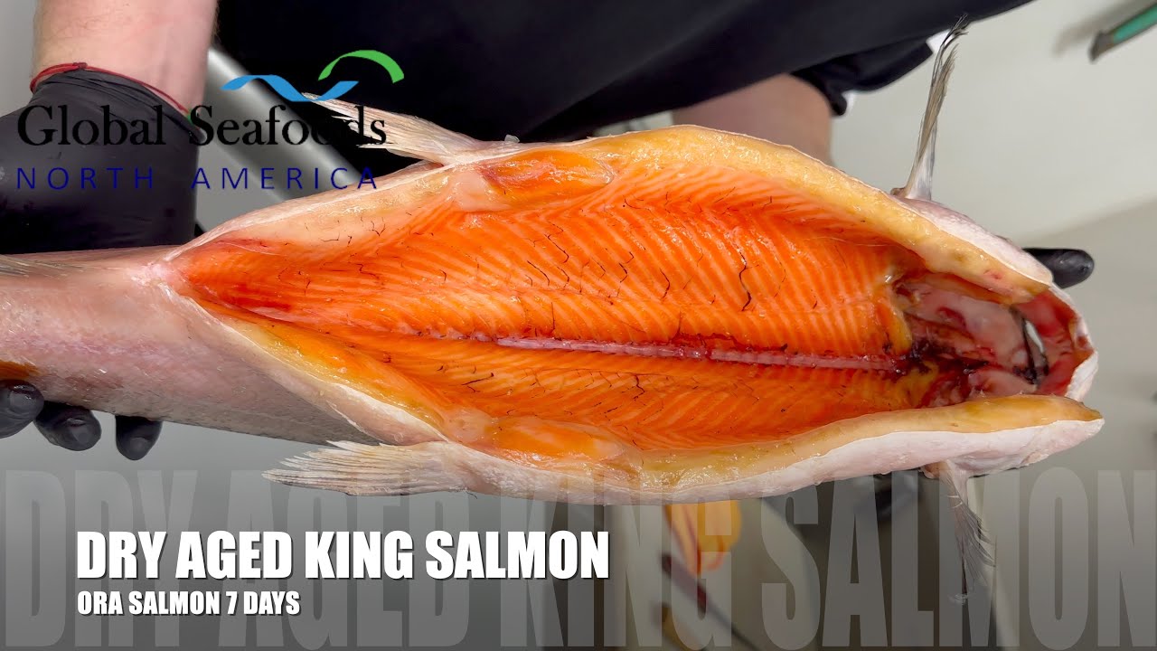 Ora King Salmon Dry Aged A True Culinary Delight! Global Seafoods