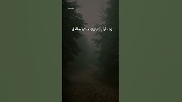 Surah Ghāfir - سورة غافر