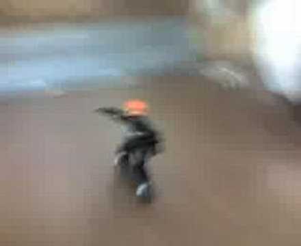 Vans Skate Park - half pipe