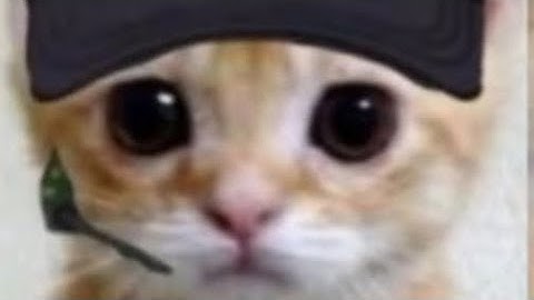 Cx file explorer and gorilla tag mod TUT!