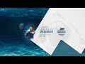 Equipe Sharks Investment School
