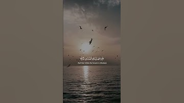 أَفَلَا يَعْلَمُ إِذَا بُعْثِرَ مَا فِي الْقُبُورِ (9)وَحُصِّلَ القارئ عبد الرحمن مسعد سوره العاديات