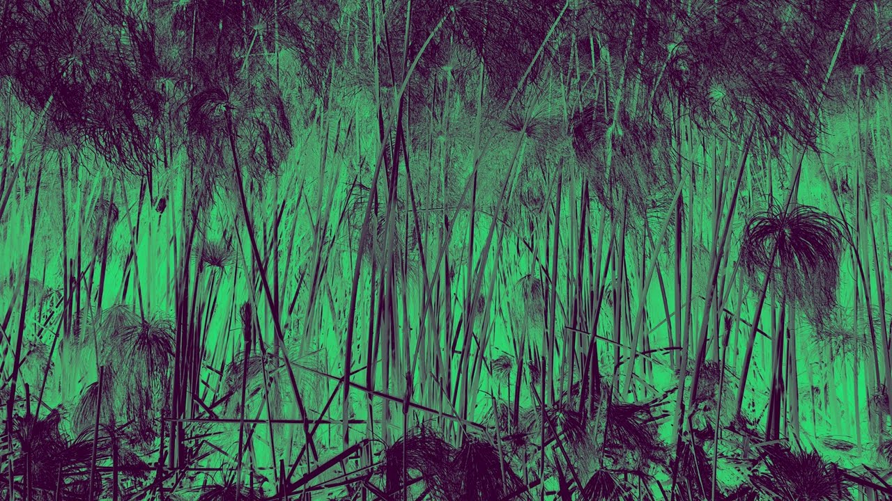 Watch Jæsee - inconsequential. (Official Audio) on YouTube Watch Jæsee - inconsequential. (Official Audio) on YouTube