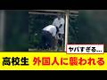 【衝撃】外国人が日本の高校生を襲う暴行事件の動画が話題に