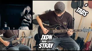 STRAY - JXDN (Guitar Cover   TABS In Description)