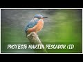 Proyecto Martín Pescador (II)