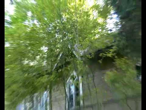 Белое солнце санаторий зеленогорск Белое солнце санаторий зеленогорск