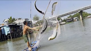 Chàng trai mưu sinh lưới kẹp đáy bè trên sông Hậu - Sông Nước Cửu Long - Nguyễn Hùng