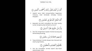 Tilawah H Muammar ZA Surat al-Fil #hmuammar #suratalfil #alquran #hubbulquran