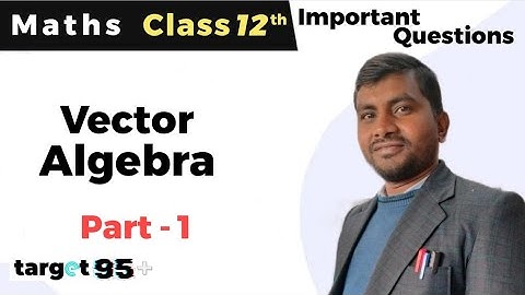 VECTOR ALGEBRA : Most Important Questions | Class 12th | Part - 1🔥