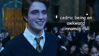 cedric diggory being an awkward cinnamon roll