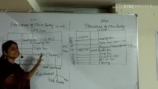 Class :- 2 //  Structure of Main Entry CCC and AACR 2  // Teaching by Reena Anand // Anil Gehlot  //