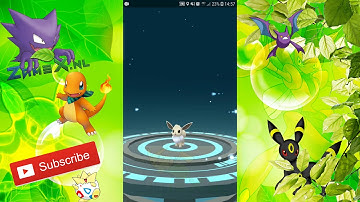 Pokémon GO Shiny Eevee evolves into shiny Flareon