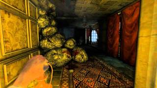 Amnesia Lets Play Ep. 2