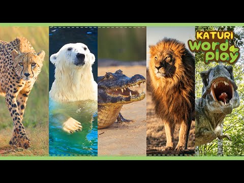 * Animals with sharp teeth * | Katuri Word Play | Learn Animals | Animals for kids to learn