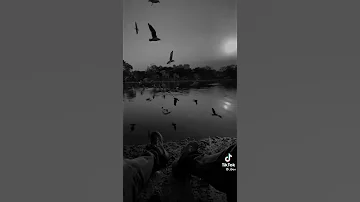 موسيقى واقف مصدوم في مرايتي حالات واتس اب 