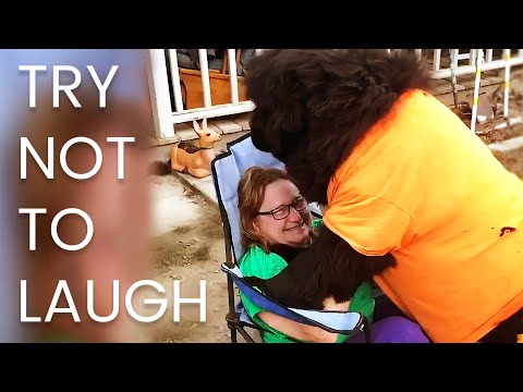 [2 HR] TRY NOT TO LAUGH Challenge ? ?  Best of the WORST FAILS!! Funny Videos Compilation | AFV 2023