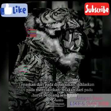 #quotes bantengan lagu tangis kelayung layung#