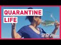 Quarantine life - TikTok compilation May 2020