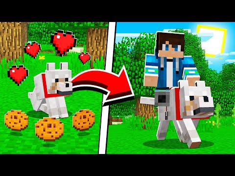 How To UPGRADE WOLVES In Minecraft Tutorial! (Pocket Edition, PS4, Xbox, PC, Switch)