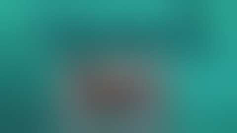 Gamification in Project Management