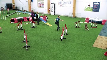 International Agility Training Week - Handler