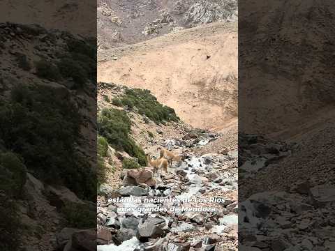 LEY DE EXTRANJERIZACIÓN DE TIERRAS
