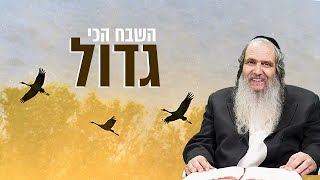 הרב שלום ארוש – השבח הכי גדול!