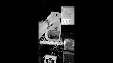 BVDLVD Going crazy on Instagram story + SNIPPET