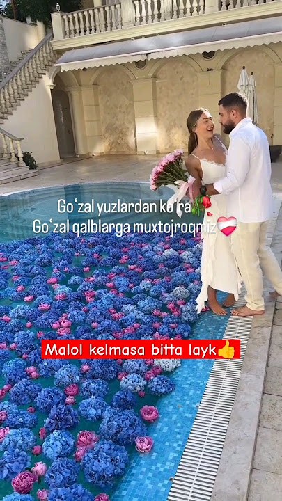 Juftliklar gey video