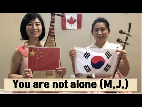 You are not alone I Michael Jackson I haegeum & Chinese Pipa