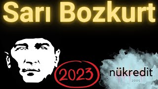 Ozan Ünsal - Sarı Bozkurt Resimi