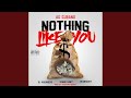 Nothing Like You mp3