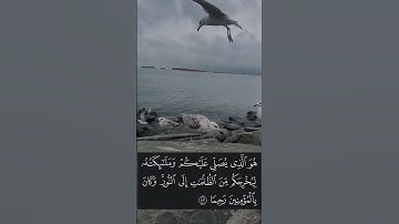 #عاصم_الهوساوي #سورة_الأحزاب #مزامير_آل_داود #قراء_الرياض #اكسبلور #تلاوة_خاشعة #لايك #تيك_توك