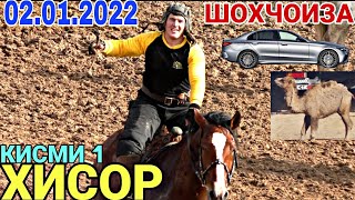 картинка: Бузкаши дар шахри Хисор 2022 02.01.2022 (кисми 1) шохчоиза як автамашина 2 уштур Бахтовар човандоз