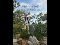 #보납산등산 #짧은등산코스  #조망좋은산 #쉬운등산코스