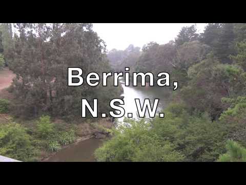 Berrima, NSW, Australia, the start of drought breaking rain, 2 Feb 2020. The cockatoos are ecstatic! @kurvapicsa