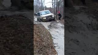 патриот сила