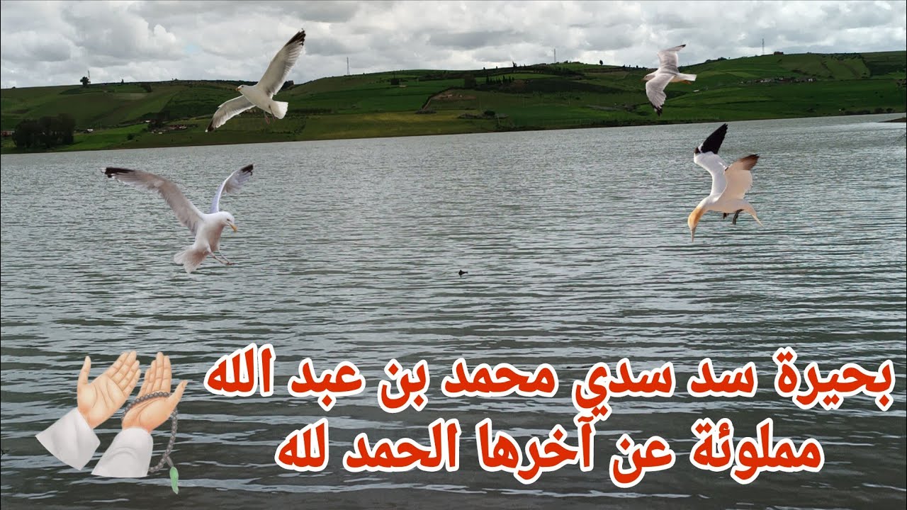 بحيرة سد سدي محمد بن عبد الله جهة الرباط مملوئة عن آخرها الحمد لله والشكر لله 🇲🇦